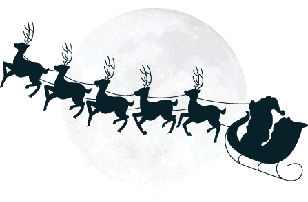 zoom call with Santa